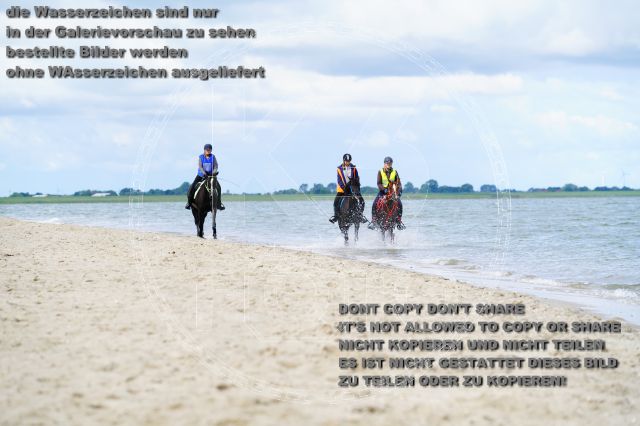 s_K3F05082.JPG